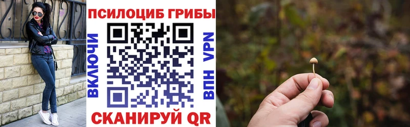 Псилоцибиновые грибы мухоморы купить наркотики сайты Каменка